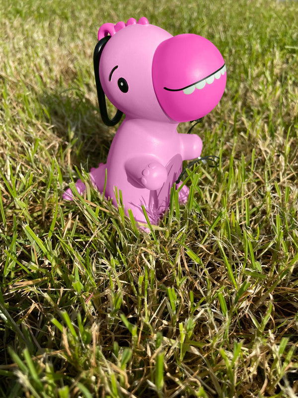 Pink Dinosaur Bundle Offer